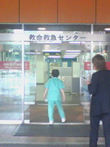 9516733b.jpg