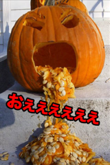 9a1f0bd0.png