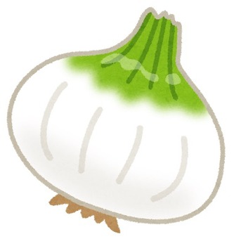 vegetable_shintamanegi