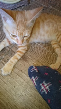 とラッチ