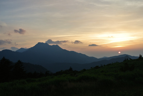 DSC_5314 (2)