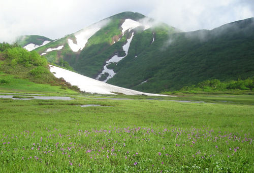 DSCN1062 (2)