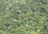 f7f9e785.jpg