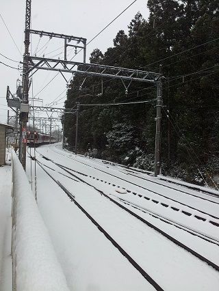 IMG_0619
