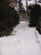 雪2