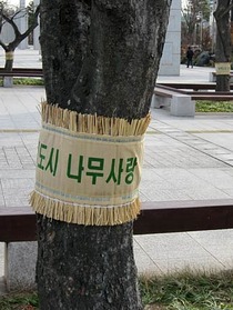 韓国こも2