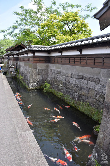 飫肥城下町4
