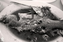 食べ残し4