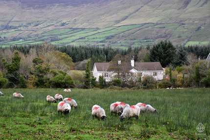アイルランド景色3