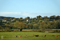 アイルランド景色1