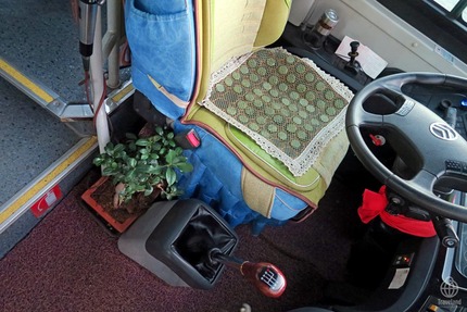 運転席の緑