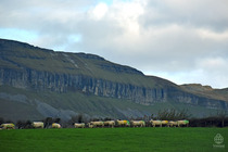 アイルランド景色6