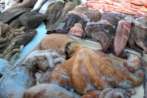 魚マルセイユ4