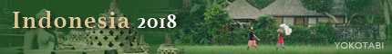 Indonesia2018bar