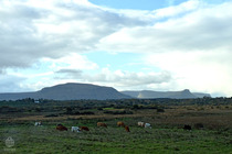 アイルランド景色4
