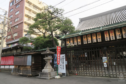 京都朝散歩3