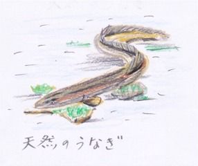 画像-1