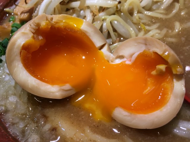 kotobkikoiwa16