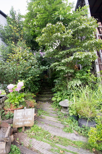 IMGP4569