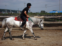 DSC00863