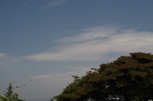 IMGP0586