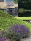 IMG_2131