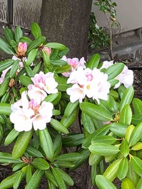 IMG_1949