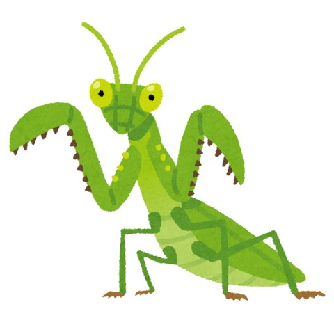 bug_kamakiri