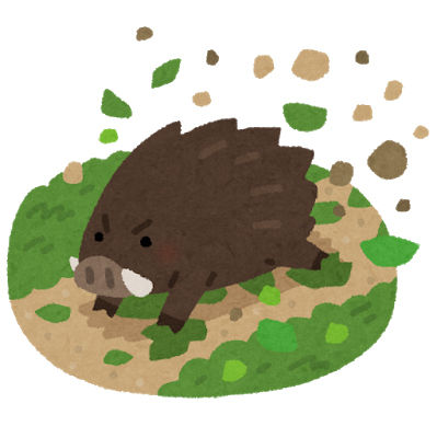 animal_inoshishi_hatake_arasu