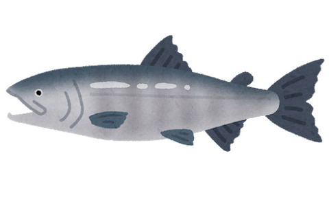 fish_sakana_sake