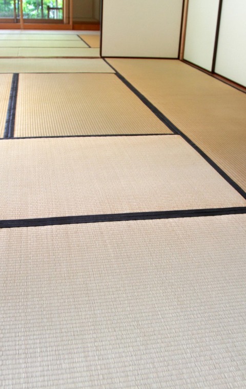 G142_washitunoheya_TP_V1