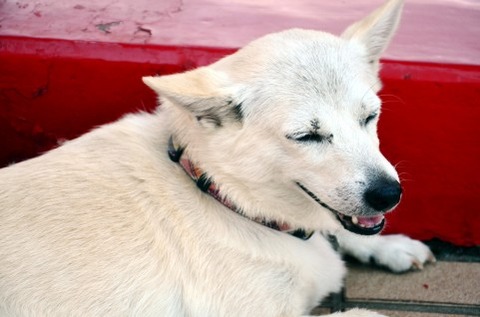 a0002_008941