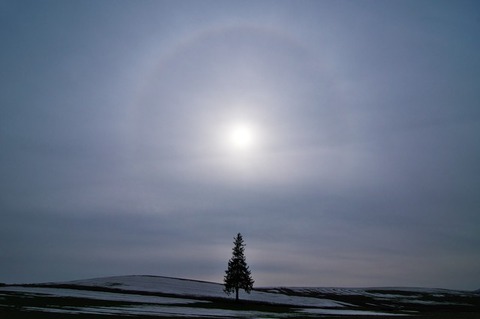 OHkobayashi_IMG47961_TP_V1