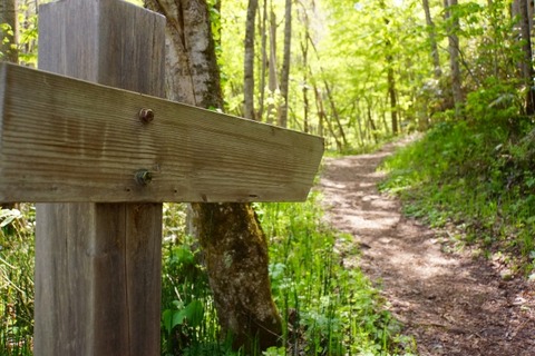 d20e9daeb6857e45795dfa19574b1c10_s