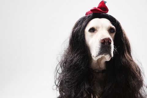 f633bf81b8149f3015013f5fb743abb8_s