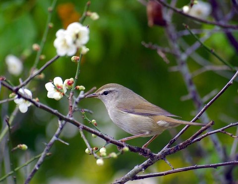 832e2ab8-8e7f-45fc-83dc-f1e4dd96316c