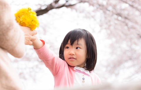 ANJU16040317IMG_1087_TP_V