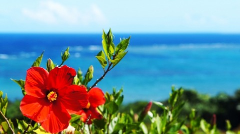 ca034bf78c42e5f765cea6de4632f813_s