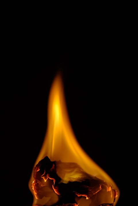 KAZDSCF2693_TP_V1