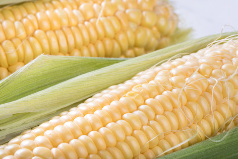 morokoshiIMGL4317_TP_V1