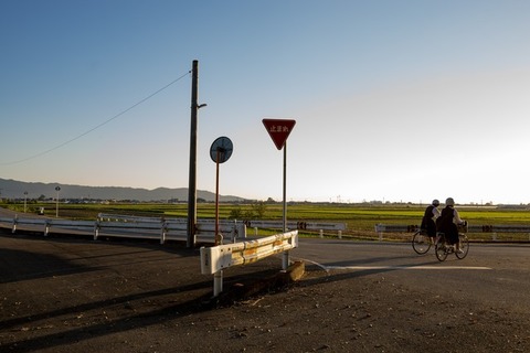 ELFADSC03719_TP_V1