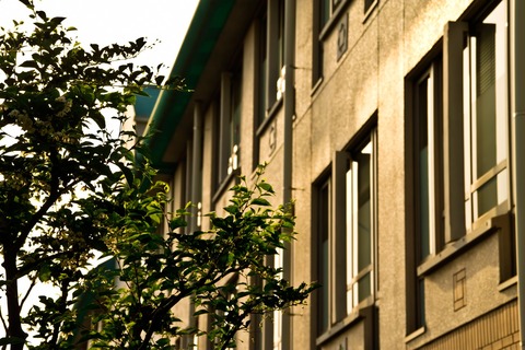 PPP_yuuguredokinokousyaura_TP_V