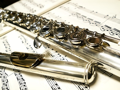 HAW8686_frutetogakuhu_TP_V