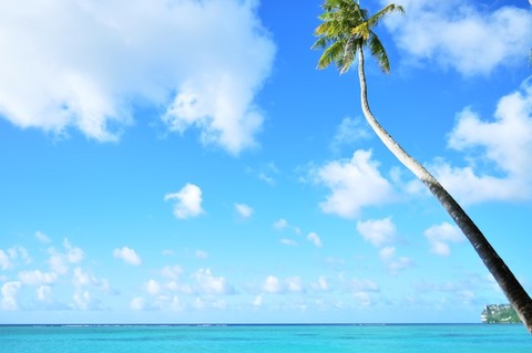 NAT85_yashitoaoiumi_TP_V1