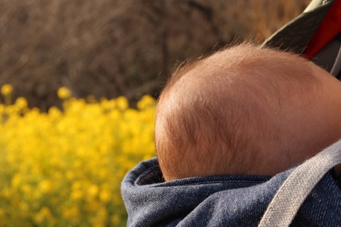 797e12bcd6023e98abdf6056540d4c19_s