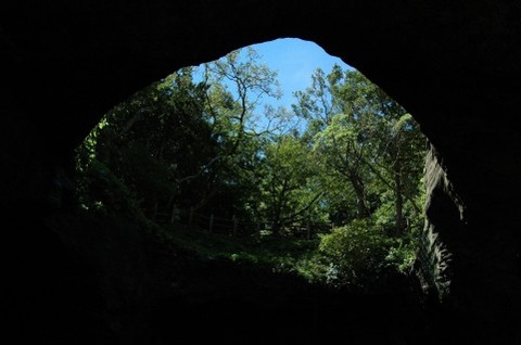 a0024_000231