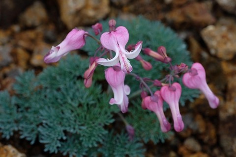 stockhiroDSCF5296_TP_V1