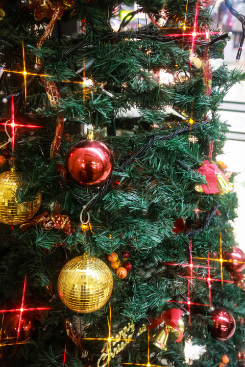 christmas0I9A4350_TP_V1
