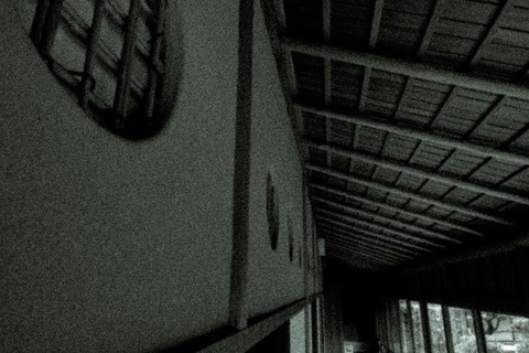 P1000381_TP_V1