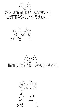 AAの画像化